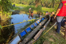 Seorang Warga Suka Maju Geragai Tanjab Timur Dikabarkan Hilang Saat Mencari Rumput di Sungai