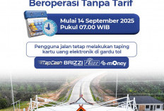 Jarak Tempuh Jambi-Palembang Makin Cepat! Tol Tempino-Ness Mulai Beroperasi Besok, Gratis!
