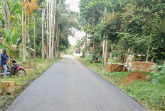 Sejumlah Pekerjaan Bina Marga PUPR Tanjab Timur Tahun 2025 Rampung Dilaksanakan