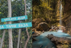 Simak! Ini Dia 7 Tempat Wisata Dekat IKN yang Harus Dikunjungi