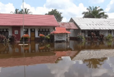 Gara-Gara Banjir, Pembelajaran Siswa di Muaro Jambi Dilakukan Secara Daring