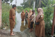 Pemkot Jambi Imbau Warga Waspadai Air Kiriman Hulu Sungai Batanghari 