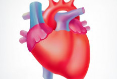 7 Tips Menjaga Kesehatan Jantung, Salah Satunya Olahraga Teratur