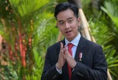 Gibran Sebut Relawan Harus Menginduk ke Presiden