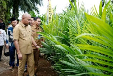 Pemkab Tebo Luncurkan Program Pro Best Tebo Maju