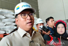 Wamentan Tegaskan Bulog Dititikberatkan Beli Gabah Petani