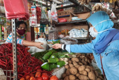 Harga Pangan Nasional Turun, Cabai hingga Beras Alami Penyesuaian