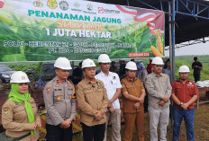 Sinar Mas Agribusiness and Food Dukung Pemerintah Tanam Jagung