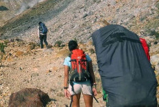 Mendaki Gunung Ala Film Petaka Gunung Gede