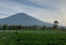 Balai Besar TNKS Batasi Pendakian Gunung Kerinci