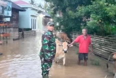 Status Tanggap Darurat Banjir Diperpanjang 