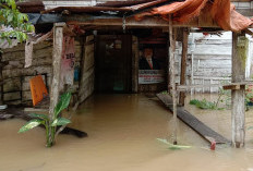 44 Ribu Jiwa Terdampak Banjir