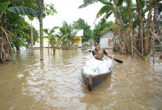Ribuan Rumah  Masih Terendam Banjir