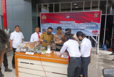 8,7 Kilogram Ganja Dimusnahkan