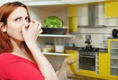 Dapur Bau Aroma Tak Sedap, Ini 6 Tips Menghilangkan Bau Tak Sedap di Dapur