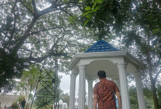 Fokus Renovasi Pembangunan Taman