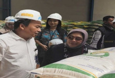 Stok Beras Jambi Aman hingga 2026, Ketersediaan Capai 25.936 Ton