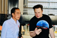 Elon Musk Dikabarkan Akan Bertemu Presiden Jokowi di Bali 