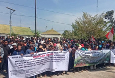 Petani Terdampak Penertiban Kawasan Hutan, Gelar Demo di Kejaksaan dan DPRD Muaro Jambi