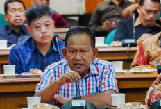 Wabup Merangin Usulkan Proyek Geothermal Graha Nyabu ke Menteri Kehutanan