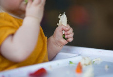 Tren “Bayi Karnivora” Viral, Ahli Gizi Peringatkan Bahayanya bagi Tumbuh Kembang Anak