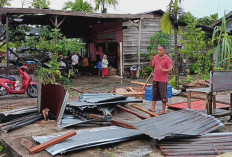 Angin Puting Beliung Terjang Tanjabbar,  39 Rumah Rusak