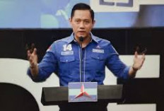 Demokrat Dukung Pemerintah Beri Gelar Pahlawan ke Pendahulu Bangsa