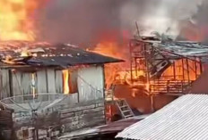 Lima Rumah Ludes Terbakar