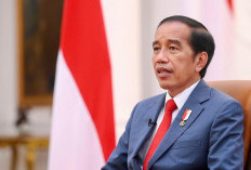 Jokowi Sebut Pemindahan ASN ke IKN Dikaji Ulang : Tak Segampang Itu 