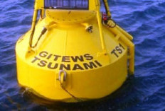 BMKG Operasikan Lebih dari 10 Ribu Alat Pantau Cuaca, Gempa, dan Tsunami