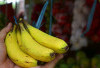 Pisang Madu: Buah Kecil Manis yang Kaya Energi dan Nutrisi, Masih Bisa Dikonsumsi Penderita Diabetes 