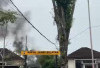 BREAKING NEWS: Gardu Listrik di Aspol Jambi Selatan Terbakar, Damkar Kota Jambi Gerak Cepat