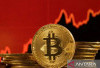 RI Peringkat Tujuh Adopsi Kripto Dunia Digeser AS dan Vietnam
