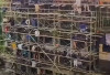 Viral! Video Santri Gotong Royong Bangun Gedung Pesantren Ramai di Media Sosial
