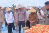 Bupati Tanjab Timur Bersama Gubernur dan Kapolda Jambi Melakukan Panen Raya Jagung Kuartal ke III