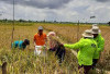 Program Cetak Sawah Terkendala Lahan