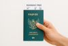 Paspor Hilang saat Traveling ke Luar Negeri? Jangan Panik, Ini 3 Langkah Penting yang Harus Dilakukan