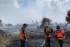 Karhutla di Jambi Capai 417 Hektare, Kualitas Udara Baik Hingga Sedang