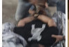 Sepekan Pengejaran, Pelaku Pembunuhan Nindia Novrin di Talang Bakung Berhasil Ditangkap Polisi