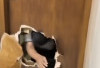 VIRAL! Bapak Jebol Pintu Toilet Demi Tolong Wanita Terkunci, Malah Dimarahi karena Sudah Lapor Satpam
