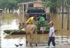  Ratusan Rumah di Batanghari Terendam Banjir, Warga Mengungsi dan Mulai Keluhkan Gangguan Kesehatan 