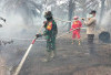 Hingga Agustus 2025, 448,73 Hektare Lahan Terbakar di Jambi, Muaro Jambi Terdampak Terluas 
