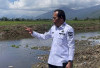 Wawako Tinjau Normalisasi Sungai Batang Bungkal