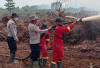 Sudah 300 Hektare Terbakar, DLH Muaojambi Sebut Kualitas Udara Masih Sangat Baik