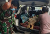 Petani di Merangin Diterkam Dua Harimau, BKSDA Jambi Turunkan Tim ke Lokasi Kejadian