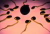 Apakah Bisa Pria dengan Gangguan Sperma Azoospermia Non-Obstruktif Punya Anak? Begini Kata Peneliti
