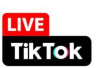 Kemkomdigi Siap Koordinasi dengan TikTok Terkait Fitur 