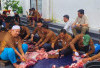 Sambut Idul Adha 1446 H, Kejaksaan Tinggi Jambi Kurban 12 Ekor Sapi
