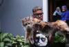 Uya Kuya Dituding Masih Jalankan Bisnis Breeder Kucing, Warganet dan Aktivis Angkat Suara