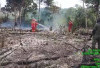Kawasan Tahura Batang Hari Terbakar
